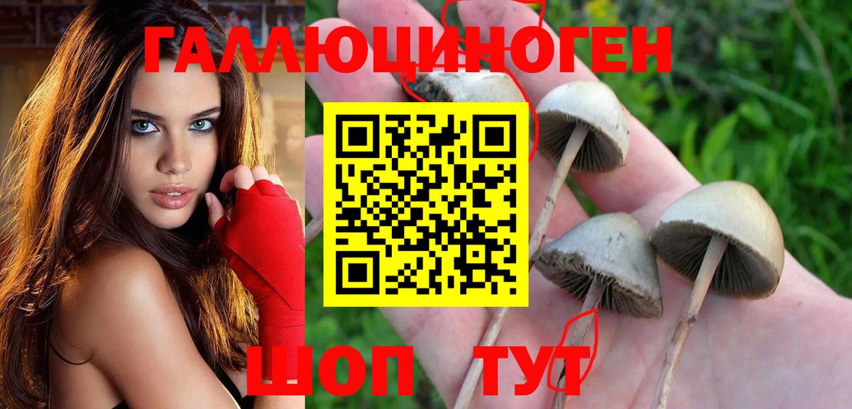 Псилоцибиновые грибы мицелий  Вход с VPN  Липецк  Галлюциногенные грибы ЛСД 